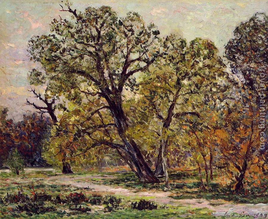 Maxime Maufra : Autumn, Fontainebleau Forest